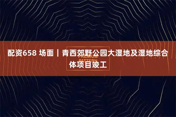 配资658 场面｜青西郊野公园大湿地及湿地综合体项目竣工