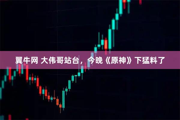 翼牛网 大伟哥站台，今晚《原神》下猛料了