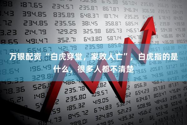 万银配资 “白虎穿堂，家败人亡”，白虎指的是什么，很多人都不清楚