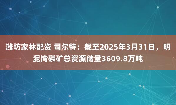 潍坊家林配资 司尔特：截至2025年3月31日，明泥湾磷矿总资源储量3609.8万吨