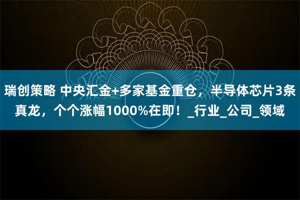 瑞创策略 中央汇金+多家基金重仓，半导体芯片3条真龙，个个涨幅1000%在即！_行业_公司_领域