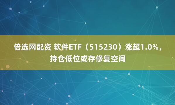 倍选网配资 软件ETF（515230）涨超1.0%，持仓低位或存修复空间